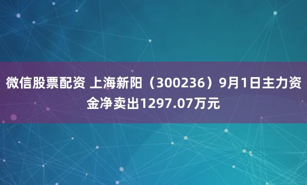 微信股票配资 上海新阳（300236）9月1日主力资金净卖出1297.07万元