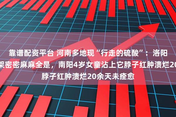 靠谱配资平台 河南多地现“行走的硫酸”：洛阳一工地脚手架密密麻麻全是，南阳4岁女童沾上它脖子红肿溃烂20余天未痊愈