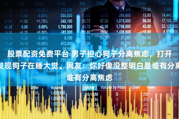 股票配资免费平台 男子担心狗子分离焦虑,打开监控发现狗子在睡大觉。网友:你好像没整明白是谁有分离焦虑