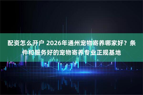 配资怎么开户 2026年通州宠物寄养哪家好？条件和服务好的宠物寄养专业正规基地