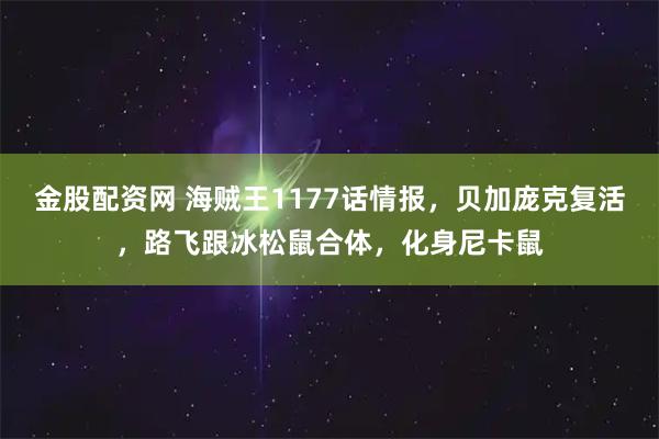 金股配资网 海贼王1177话情报，贝加庞克复活，路飞跟冰松鼠合体，化身尼卡鼠